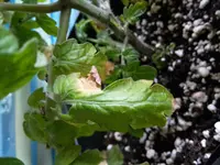 20160325_084808.webp