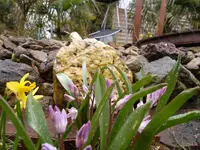 SAM_0831.webp
