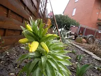 SAM_0832.webp