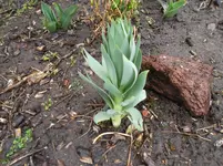 SAM_0834.webp
