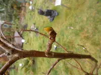 SAM_0836.webp