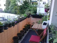 IMG_20160325_142031.webp