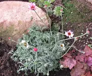 Frühling 2016_.webp
