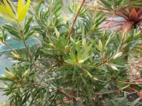 SAM_0842.webp