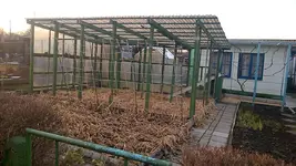 WP_20160226_001.webp