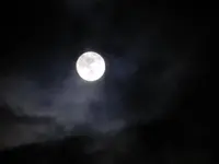 DSCN5115.webp