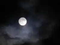 DSCN5117.webp