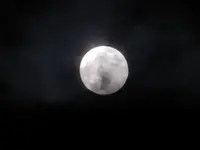 DSCN5129.jpg