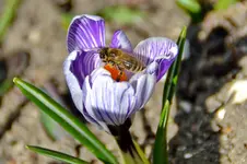 DSC_2747.webp