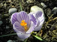 DSCN0182.webp