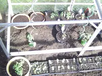 BILD5455.webp