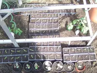 BILD5457.webp