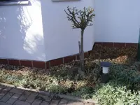 Erkerbeet2 26.3..webp