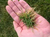 Foto 26.03.16, 15 40 39.webp