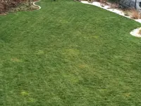 Foto 26.03.16, 15 23 16.webp