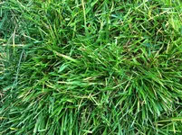 Foto 26.03.16, 15 21 54.webp