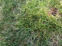 Foto 26.03.16, 15 21 35.webp