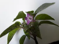 20160326_164355.webp