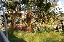 SAM_0843.webp