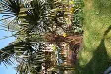 SAM_0844.webp
