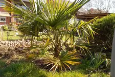 SAM_0845.webp