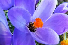 DSCF5485 (2).webp