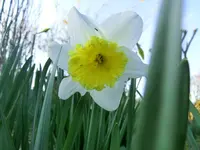 CIMG1813.webp