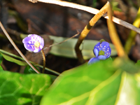 DSC_6768.webp