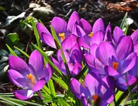DSC_6776.webp