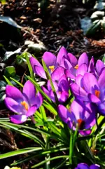 DSC_6777.webp