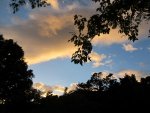 Copy of IMG_3624.jpg