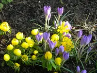 DSCN0163.webp