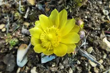 DSCF5479 (2).webp