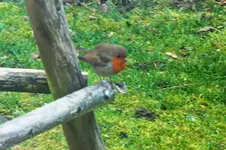 DSCF5476 (2).webp