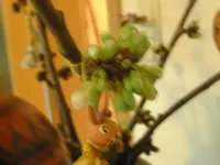 BILD5470.webp
