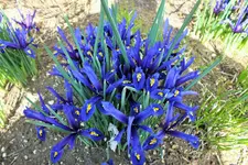 DSCF5482 (2).webp