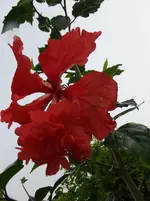 004.webp