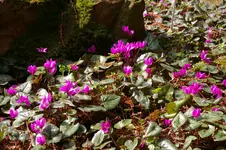 Hermannshof2.webp