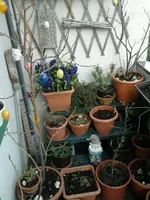 Foto1.webp