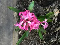 image.webp