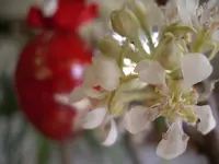 IMGP8520.webp