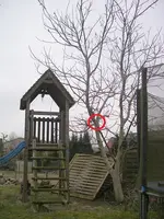 IMGP8502.webp