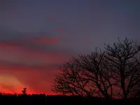 SoUMrz16 (2).webp