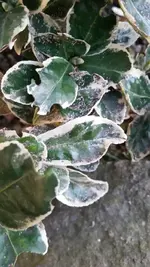 20160321_180520.webp