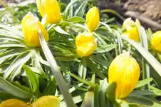 DSCF5487.webp