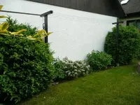Buchs3.webp
