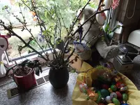 DSCF2934.webp