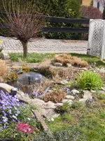 Wasserspiel2 28.3..webp