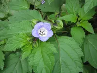IMG_3509.jpg