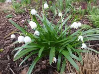DSCF9240.webp